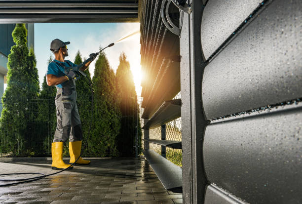 Best Roof Pressure Washing  in Las Flores, CA
