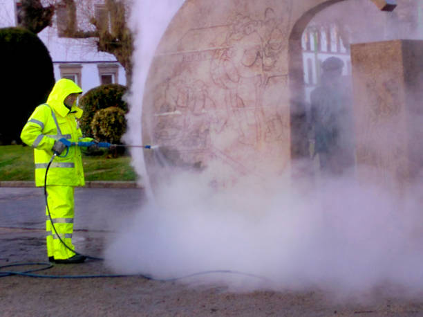 Best Roof Power Washing Services  in Las Flores, CA